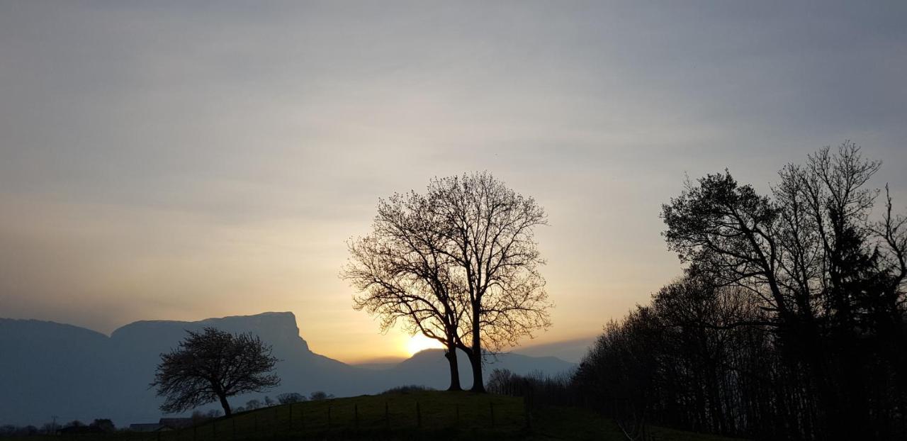 Gite Clair, Spacieux Et Cosy Avec Vue Sur Le Massif De La Chartreuse Sainte-Helene-du-Lac Exteriör bild